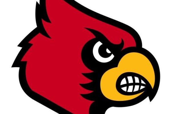 LeRoy-Ostrander school mascot: red cardinal