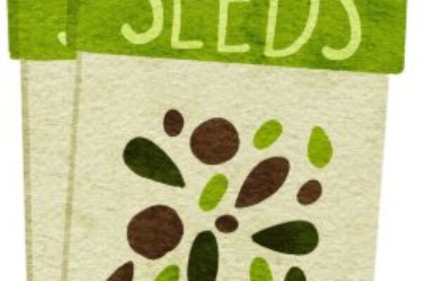 Generic packet of seeds